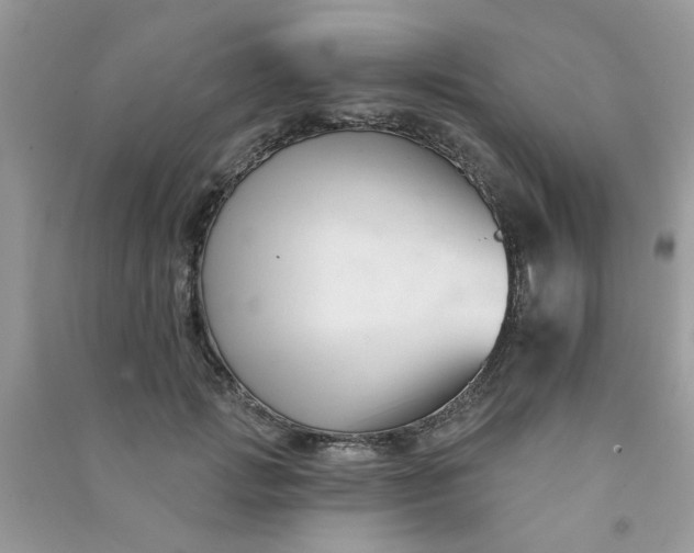 X0000091000749200708161938