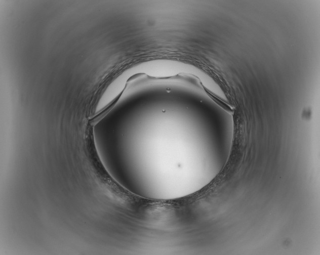X0000091000750200708161938