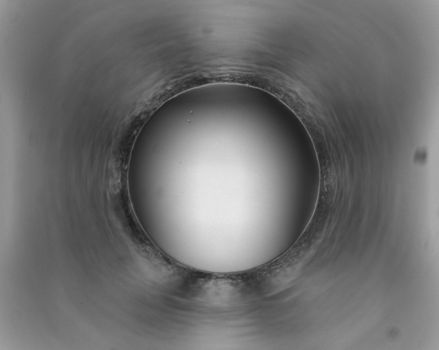 X0000091000751200708161938