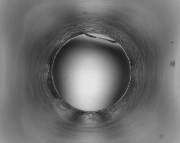 X0000091000752200708161938