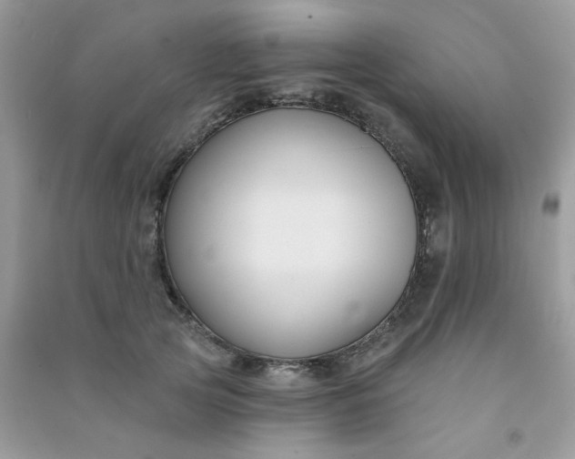 X0000091000753200708161938