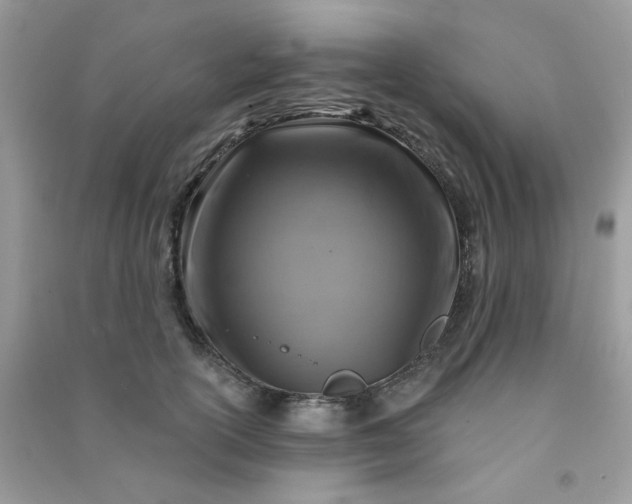 X0000091000754200708161938