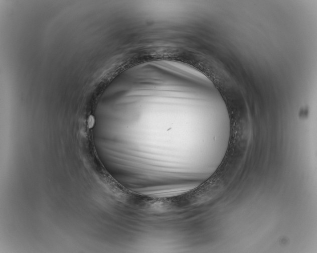 X0000091000755200708161938
