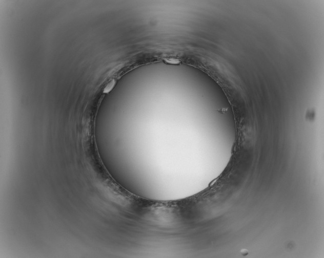 X0000091000756200708161938