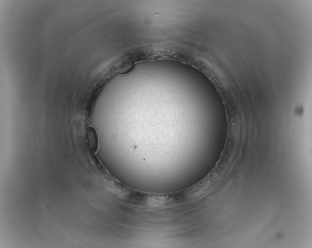 X0000091000757200708161938
