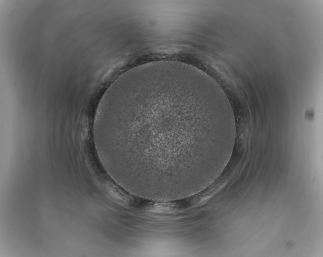 X0000091000758200708161938