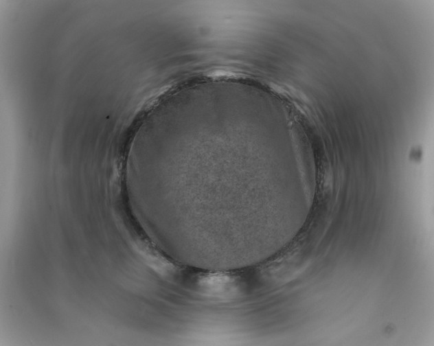 X0000091000759200708161938