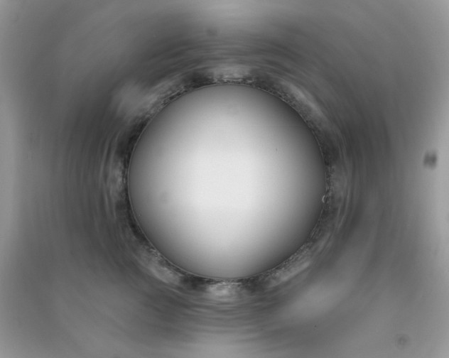 X0000091000761200708161938
