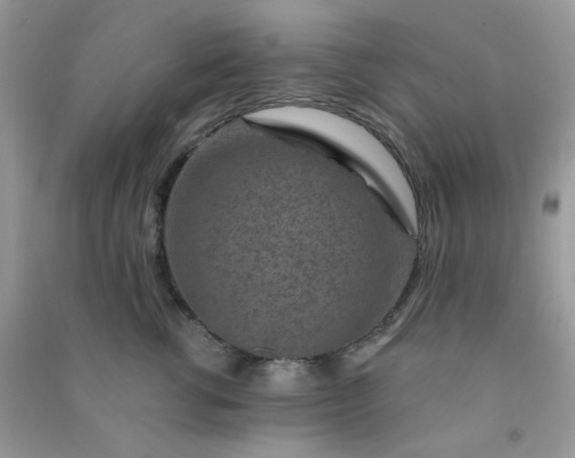 X0000091000762200708161938