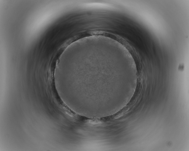 X0000091000763200708161938