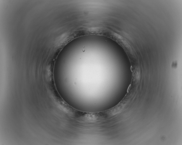 X0000091000764200708161938