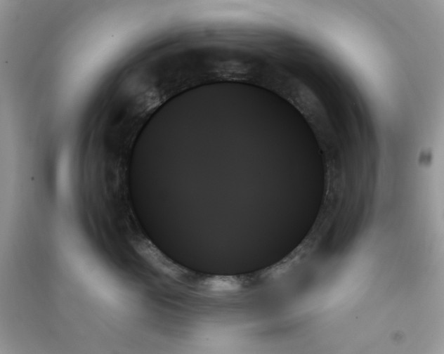 X0000091000765200708161938