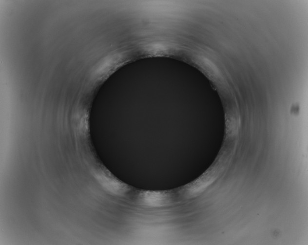X0000091000766200708161938