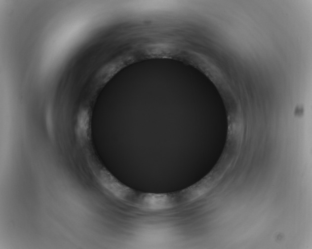 X0000091000767200708161938