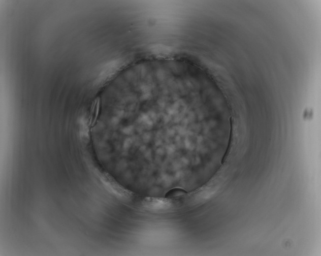 X0000091000768200708161938