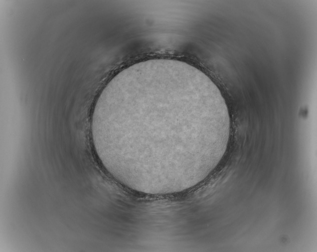 X0000091000769200708161937