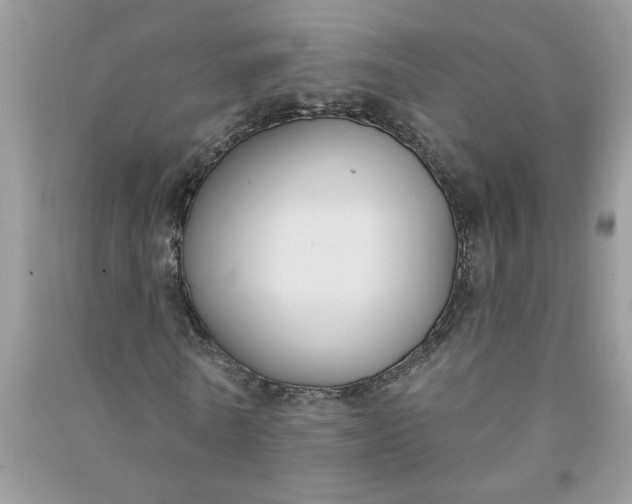 X0000091000770200708161937