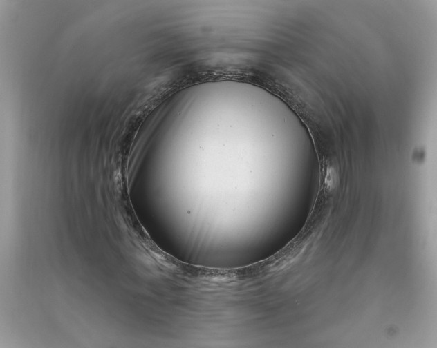 X0000091000771200708161937