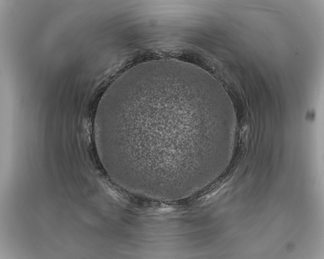 X0000091000772200708161937