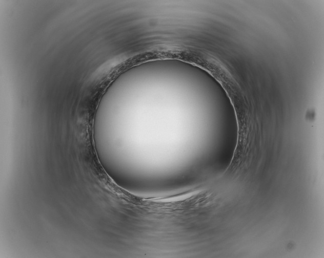 X0000091000773200708161937