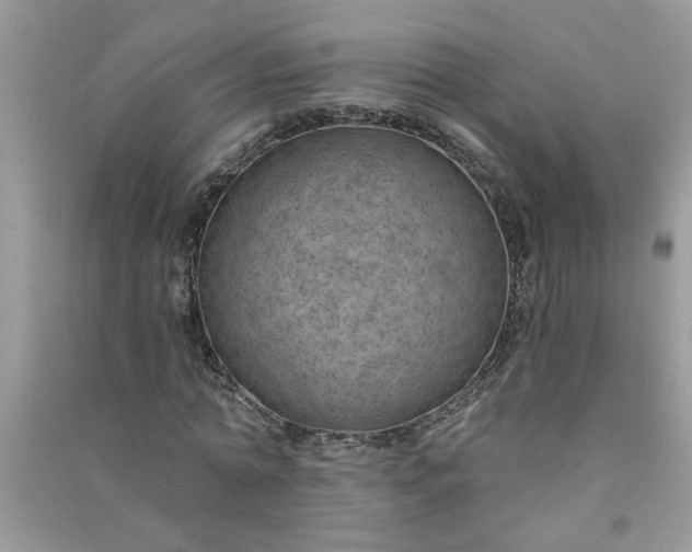 X0000091000774200708161937