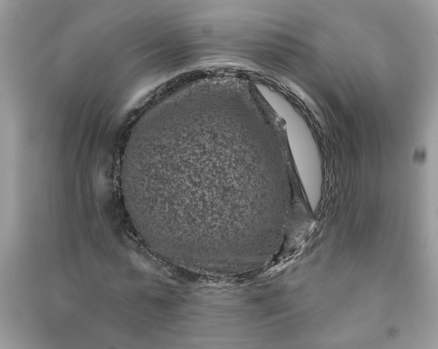 X0000091000775200708161937