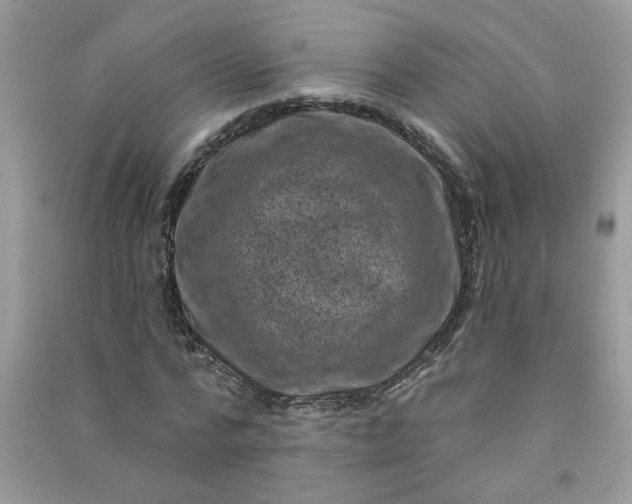 X0000091000776200708161937