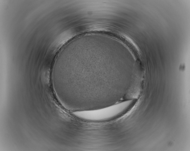 X0000091000777200708161937