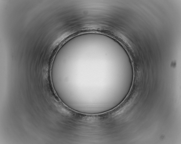 X0000091000778200708161937