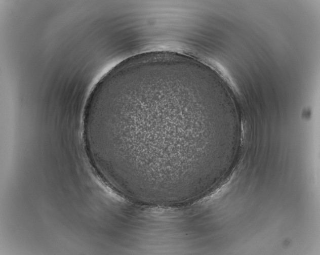 X0000091000780200708161937