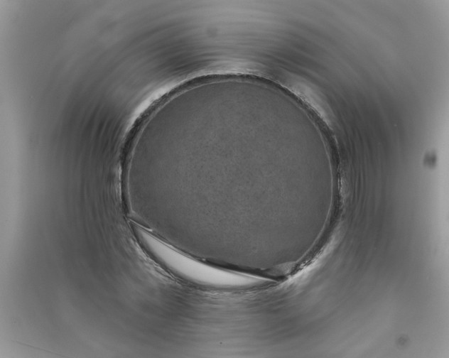 X0000091000781200708161937