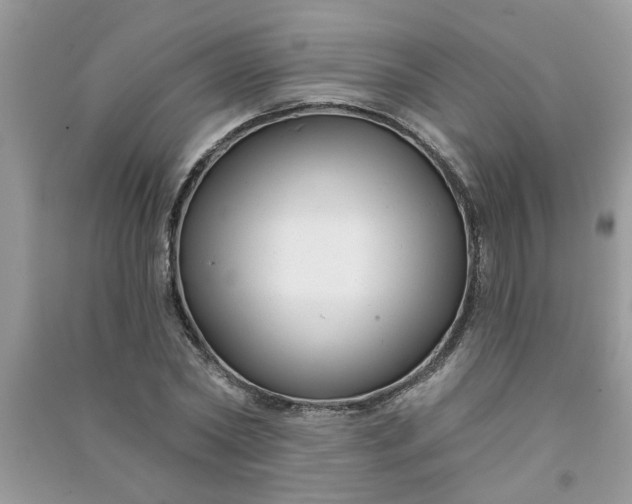 X0000091000782200708161937