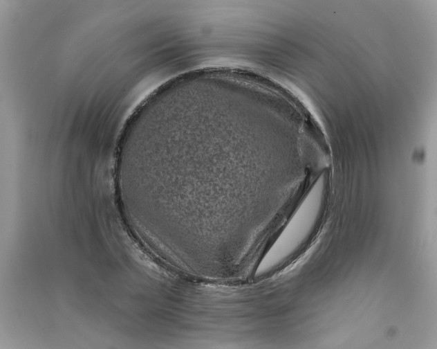 X0000091000783200708161937