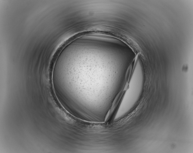 X0000091000784200708161937