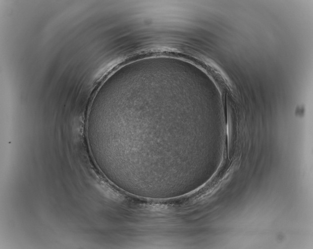 X0000091000785200708161937