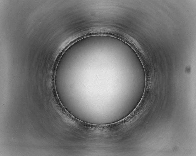 X0000091000786200708161937