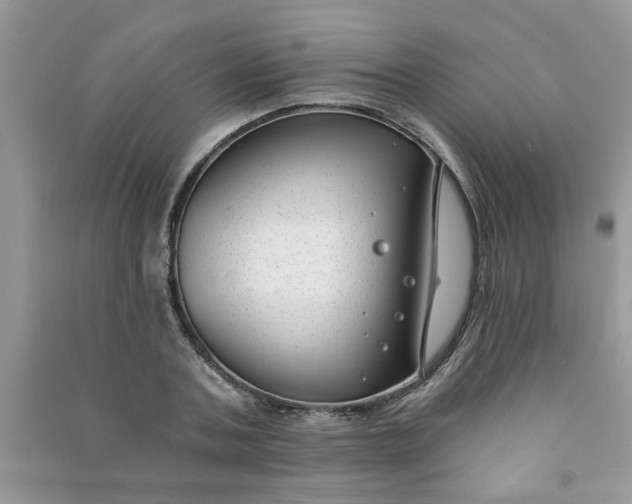 X0000091000787200708161937