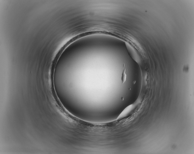 X0000091000788200708161937