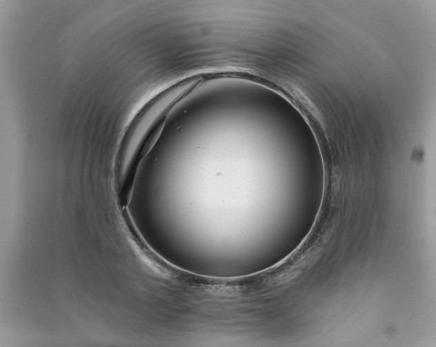 X0000091000789200708161937