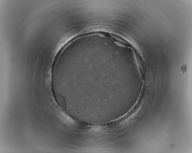 X0000091000790200708161937