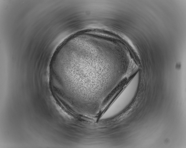 X0000091000791200708161937
