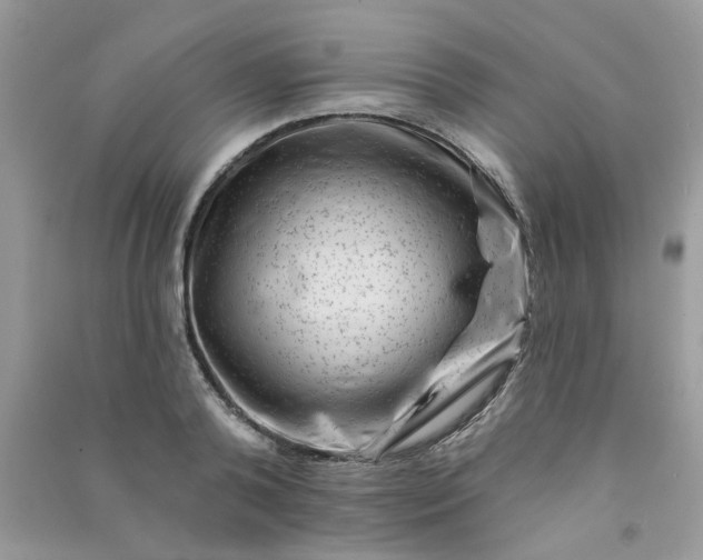 X0000091000792200708161937