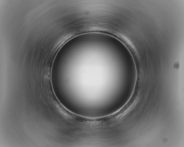 X0000091000793200708161937