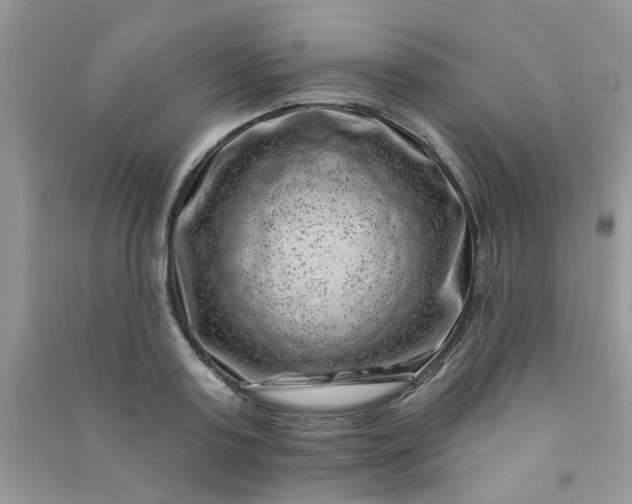 X0000091000795200708161937
