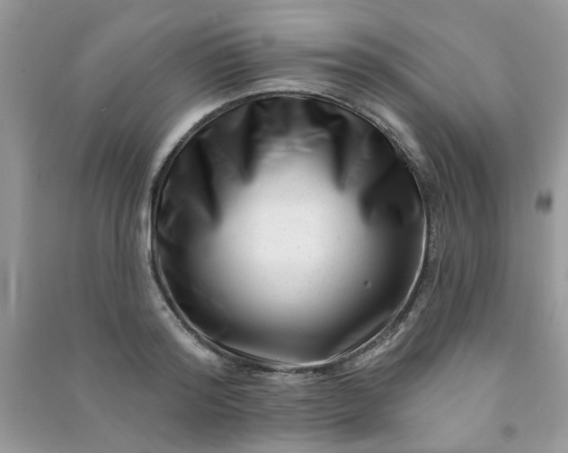 X0000091000796200708161937