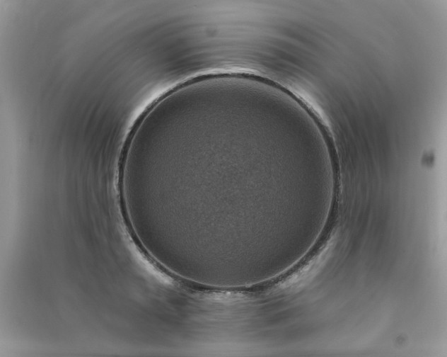 X0000091000797200708161937
