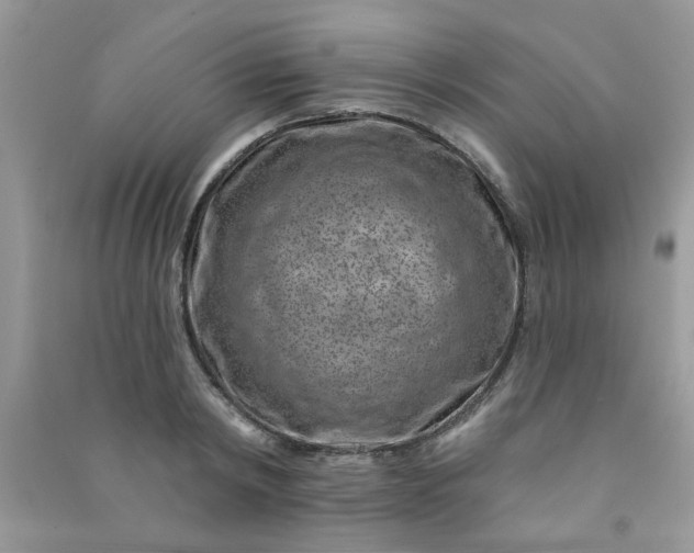 X0000091000798200708161937