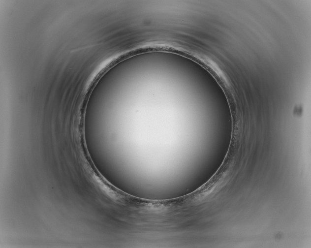 X0000091000799200708161937