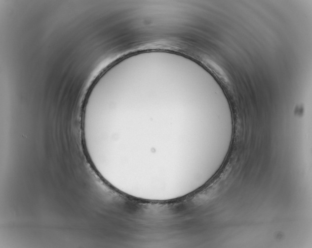 X0000091000800200708161937