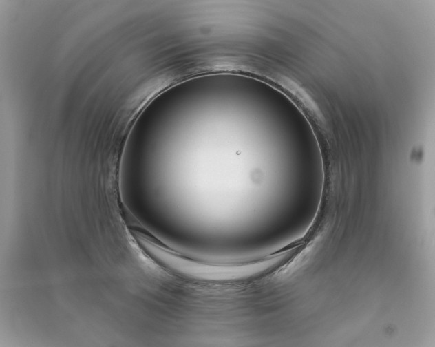 X0000091000801200708161937